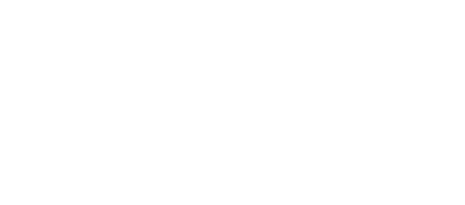 AxiomX