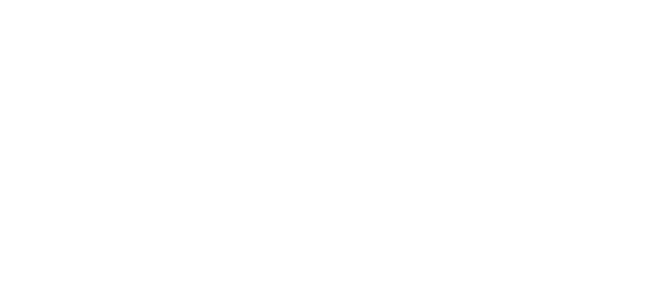 DST CE