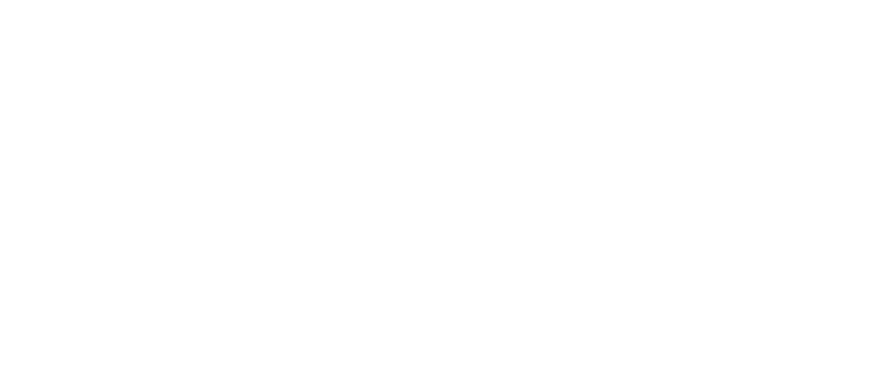 Dr Oetkar
