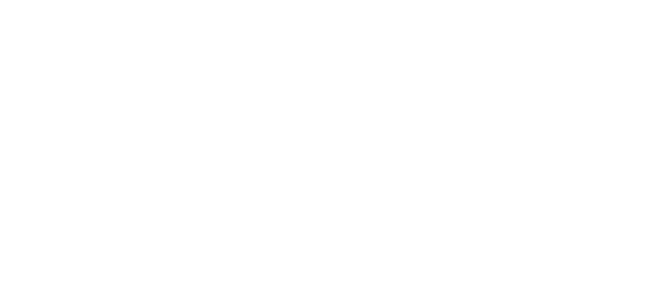 Veriday